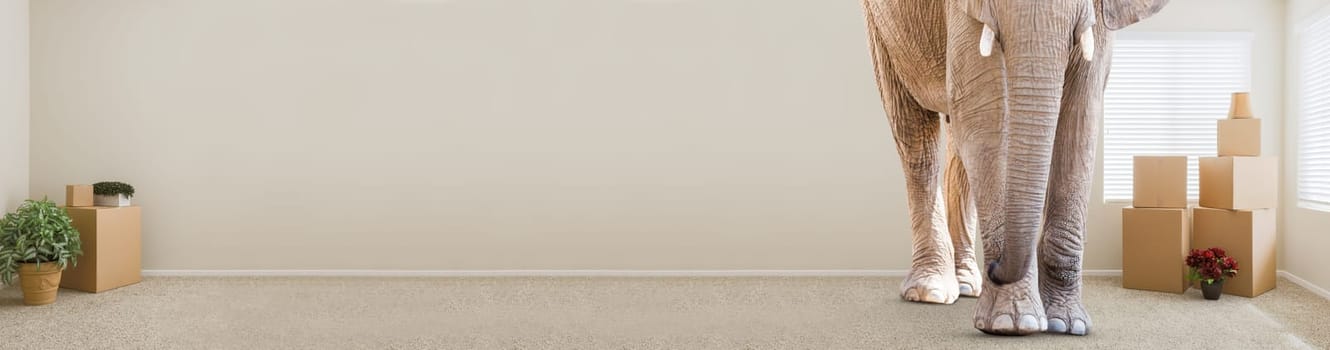 Adult Elephant Standing in Empty Room With Moving Boxes.