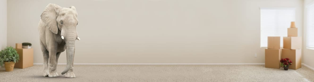 Adult Elephant Standing in Empty Room With Moving Boxes