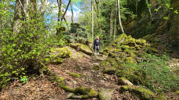 Old vineyards in Rosport in the Moselle Valley on the border between Luxembourg and Germany on the hiking trail "Hoelt R7 - In the footsteps of the white woman"""