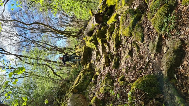 Old vineyards in Rosport in the Moselle Valley on the border between Luxembourg and Germany on the hiking trail "Hoelt R7 - In the footsteps of the white woman"""