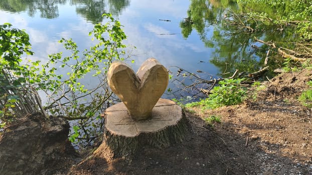 A closeup of the heart shape carved into a tree trunk in bright sunlight