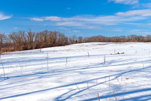 Quiet Shadows on a Winter Scene in the Volo Bog State Natural Area in Illinois