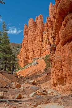 Remote Canyon in the Red Rocks Wilderness in Utah