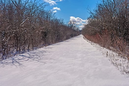 Unbroken Snow on a Rural Road in the Crabtree Nature Center in Illinois