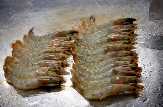 On a hot frying surface, many shrimp lie next to each other.