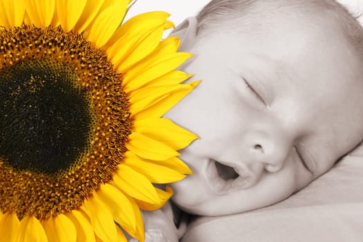 Young baby in dreamland