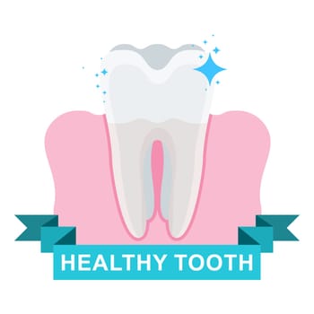 Healthy tooth and gum. Flat vector cartoon illustration. Objects isolated on white background.
