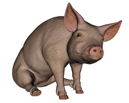 Pig sitting isolated in white background - 3D render