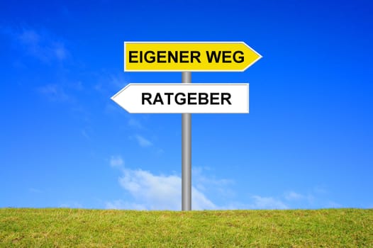 Signpost on meadow in front of blue sky shows own way / Guide