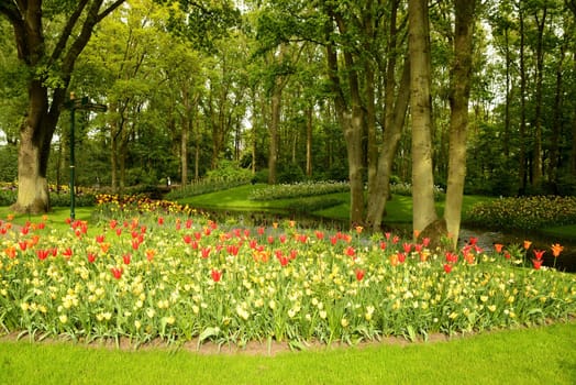 Flowering time at the Keukenhof in Holland,near Amsterdam.