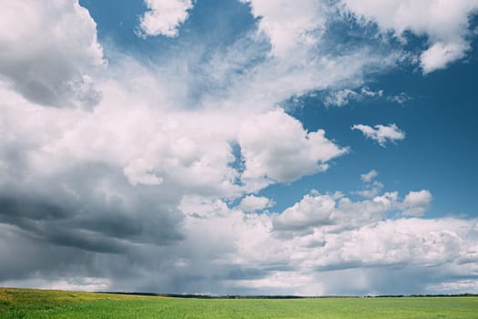 Countryside Rural Wheat Field Meadow Landscape In Summer Rainy Day. Scenic Sky With Rain Clouds On Horizon. Agricultural And Weather Forecast Concept.