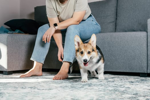 Curly haired glad, cheerful barefoot woman with dog corgi sitting, relaxing and playing on floor in comfortable living room, near sofa. Active and healthy animal, healthcare. Weekend leisure activity