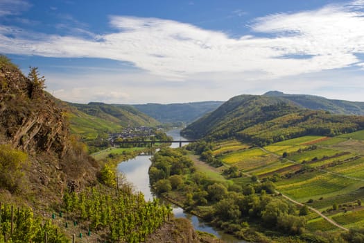 Moselle River in Germany, view of Calmont village and vineyards in the Mosel river valley, Germany