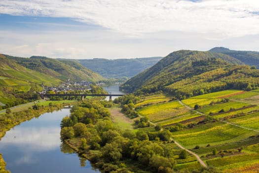 Moselle River in Germany, view of Calmont village and vineyards in the Mosel river valley, Germany