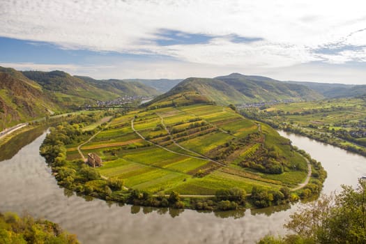 View of a riverbend of the Moselle River in the Eifel village of Bremm in Germany in summer. Seen from the Calmont vineyards with blue sky.