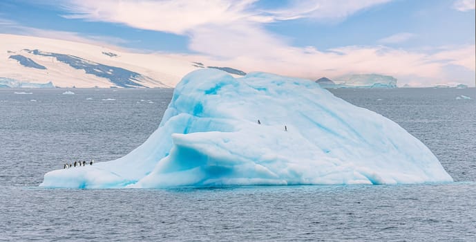 Iceberg with penguins in front of Antarctic iceberg landscape at Portal Point -at the entrance to Charlotte Bay on the Reclus Peninsula, on the west coast of Graham Land