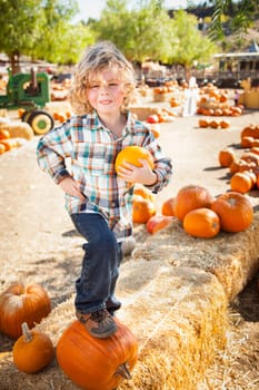 Little Boy Standing in a Rustic Ranch Setting at the Pumpkin Patch.