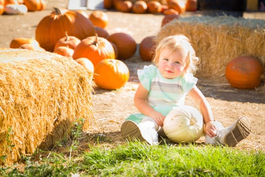 Adorable Baby Girl Having Fun in a Rustic Ranch Setting at the Pumpkin Patch.