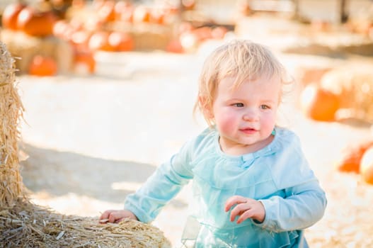 Adorable Baby Girl Having Fun in a Rustic Ranch Setting at the Pumpkin Patch.