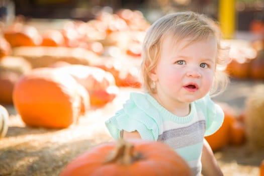 Adorable Baby Girl Having Fun in a Rustic Ranch Setting at the Pumpkin Patch.