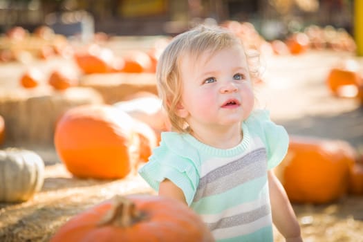 Adorable Baby Girl Having Fun in a Rustic Ranch Setting at the Pumpkin Patch.