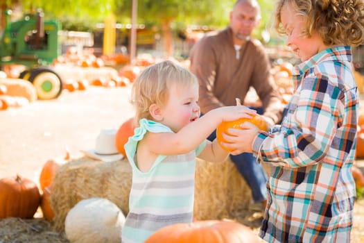 Adorable Young Family Enjoys a Day at the Pumpkin Patch.