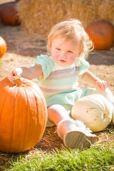 Adorable Baby Girl Having Fun in a Rustic Ranch Setting at the Pumpkin Patch.