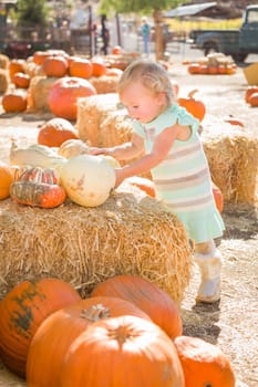 Adorable Baby Girl Having Fun in a Rustic Ranch Setting at the Pumpkin Patch.
