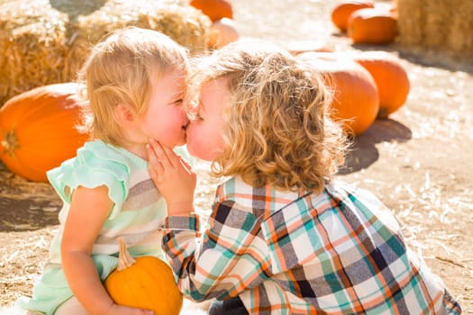 Sweet Little Boy Plays with His Baby Sister in a Rustic Ranch Setting at the Pumpkin Patch.