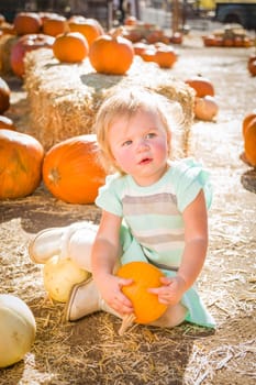 Adorable Baby Girl Having Fun in a Rustic Ranch Setting at the Pumpkin Patch.