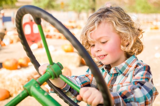 Little Boy Having Fun In A Tractor in a Rustic Ranch Setting at the Pumpkin Patch.