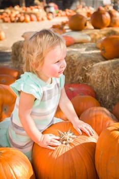 Adorable Baby Girl Having Fun in a Rustic Ranch Setting at the Pumpkin Patch.
