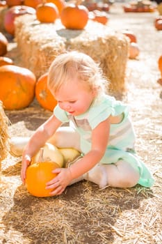 Adorable Baby Girl Having Fun in a Rustic Ranch Setting at the Pumpkin Patch.