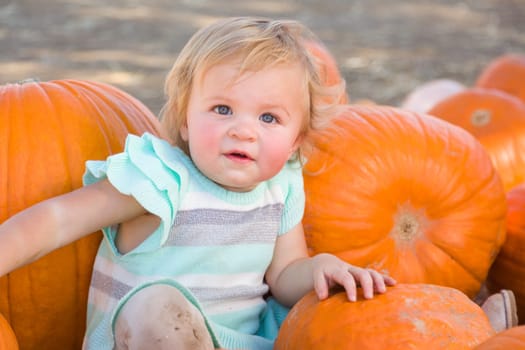 Adorable Baby Girl Having Fun in a Rustic Ranch Setting at the Pumpkin Patch.