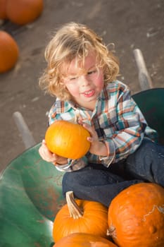 Little Boy Sitting in a Wheelbarrow Next to His Pumpkins in a Rustic Ranch Setting at the Pumpkin Patch.