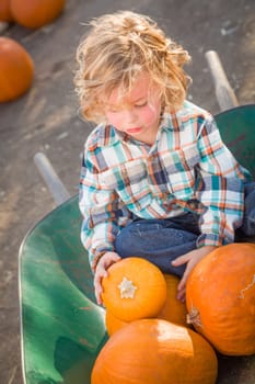 Little Boy Sitting in a Wheelbarrow Next to His Pumpkins in a Rustic Ranch Setting at the Pumpkin Patch.