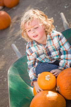 Little Boy Sitting in a Wheelbarrow Next to His Pumpkins in a Rustic Ranch Setting at the Pumpkin Patch.