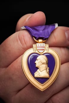 Male Hand Holding the Armed Forces Purple Heart Metal.