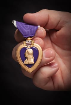 Male Hand Holding the Armed Forces Purple Heart Metal.