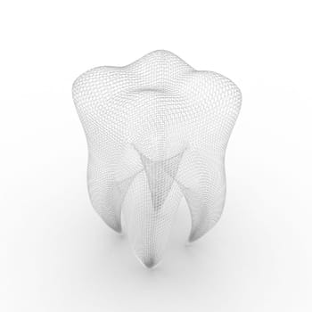 Illustration of structure of human tooth on a white background