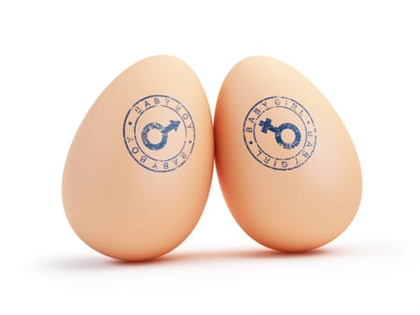 baby boy egg on a white background