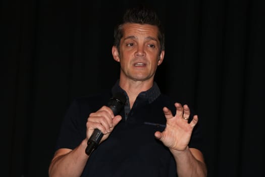 Jonathan Del Arco Hugh (Borg) (Star Trek),Fedcon 24,Duesseldorf,May 22,2015
