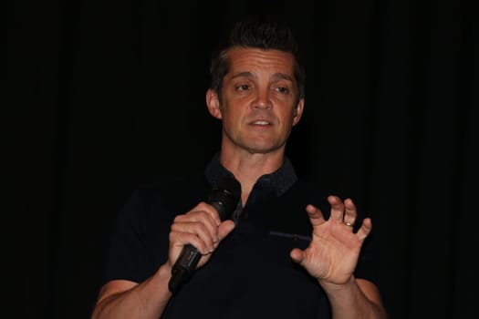 Jonathan Del Arco Hugh (Borg) (Star Trek),Fedcon 24,Duesseldorf,May 22,2015