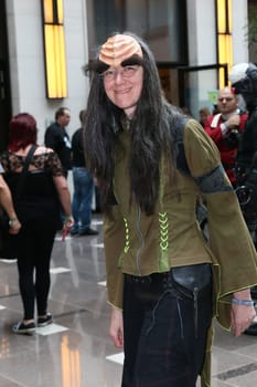 Impressions,disguised fans,Fedcon 24,Duesseldorf,23.05.2015