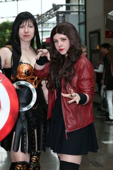 Impressions,disguised fans,Fedcon 24,Duesseldorf,23.05.2015