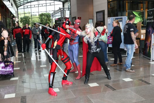 Impressions,disguised fans,Fedcon 24,Duesseldorf,23.05.2015