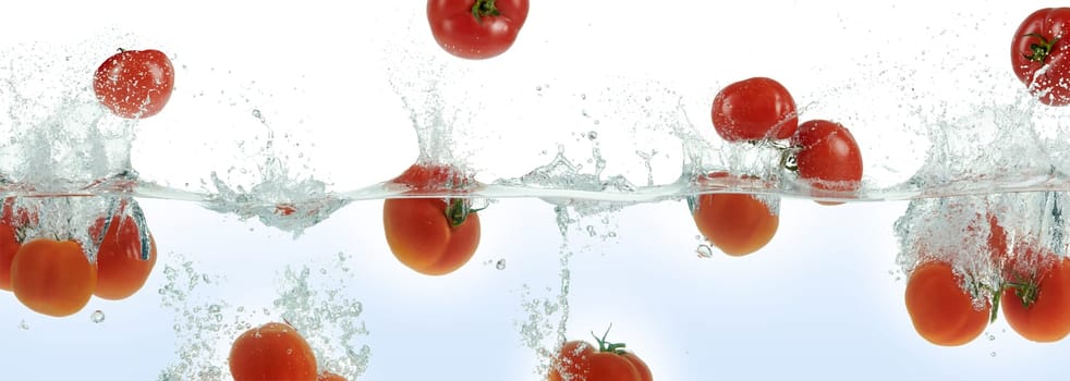 Many tomatoes splashing in water. Panoramic side view on white background.