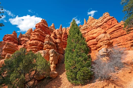 Red Canyon Panorama on the Pink Ledges Trail in Utah