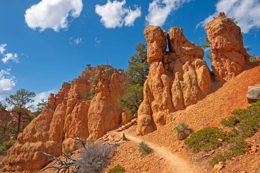 Trai lhrough the Red Rocks in the Red Canyon Wilderness in Utah