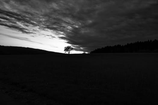 Sunset in the Saarland with a tree against which a ladder is leaning in black and white shot. dramatic sky . quiet and lonely light mood